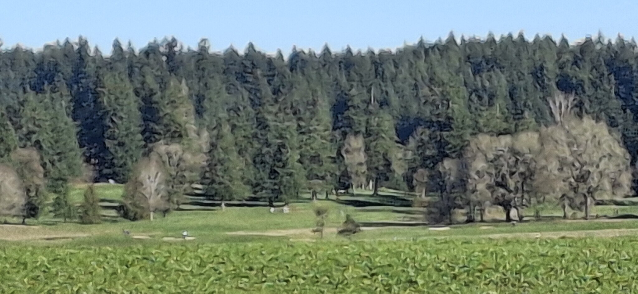 Nearby Pumpkin Ridge Golf Course - 31741 NW Blake Terr