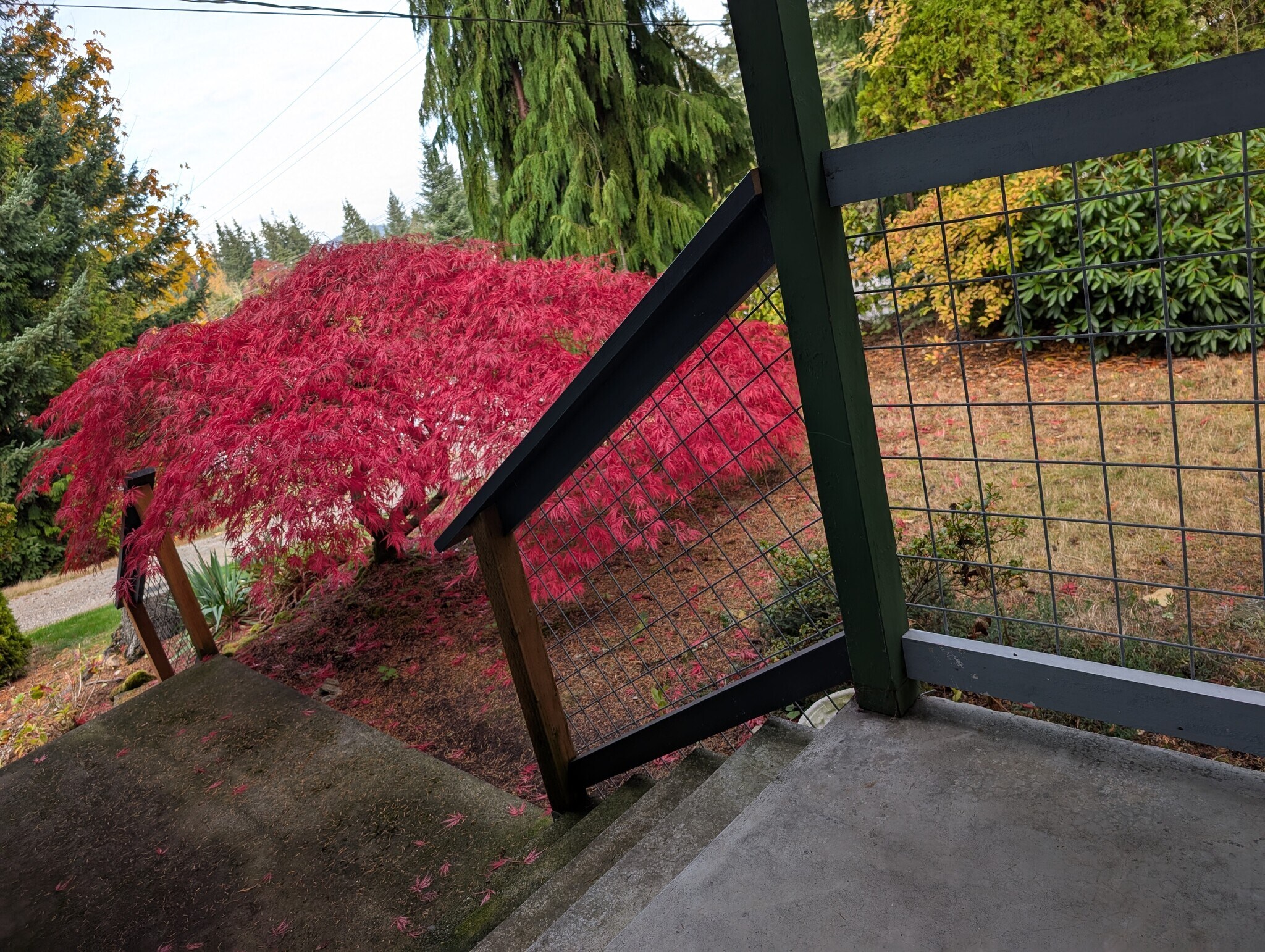 Building Photo - 2575 Yew Street Rd