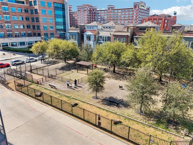 Building Photo - 1001 Belleview St