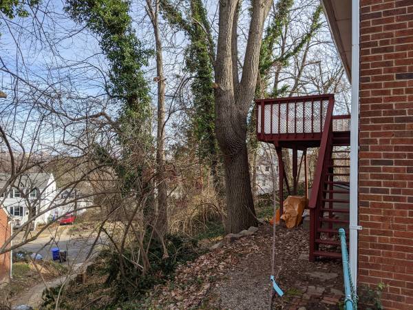 Building Photo - 925 N Montana St