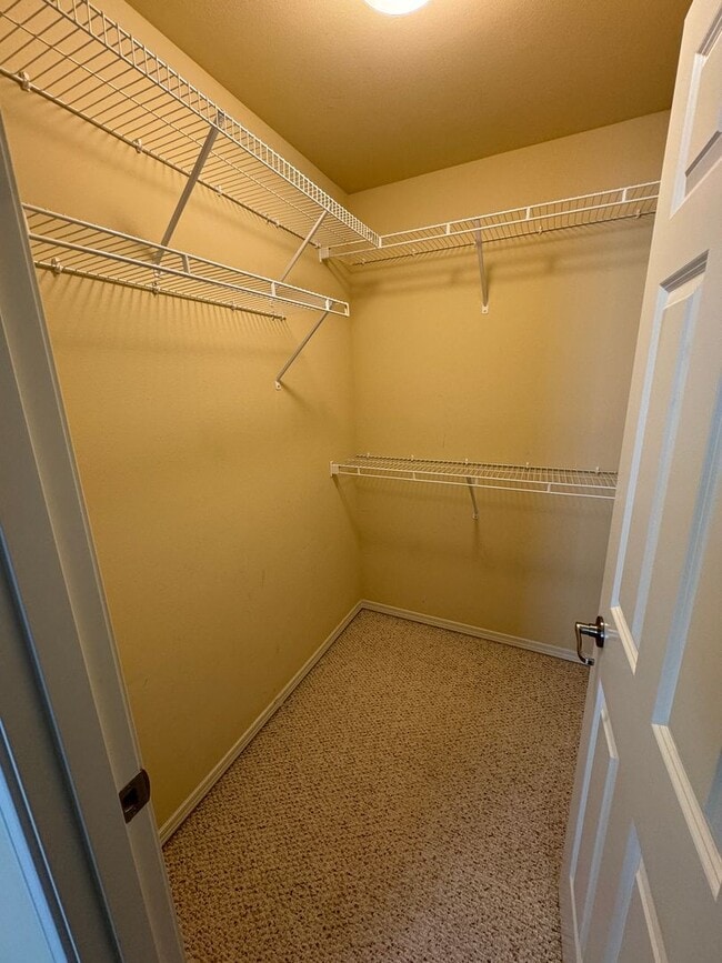 Building Photo - 1175 Swan Loop