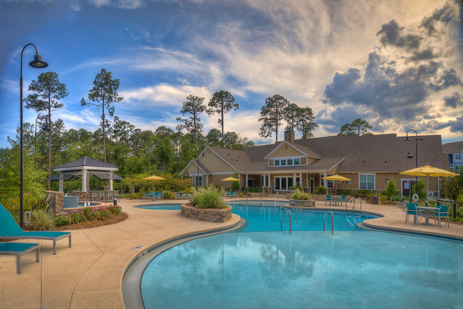 Resort-style swimming pool and clubhouse - Lullwater at Blair Stone