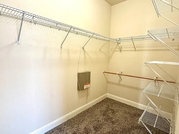 Building Photo - 3526 Blackstone Run