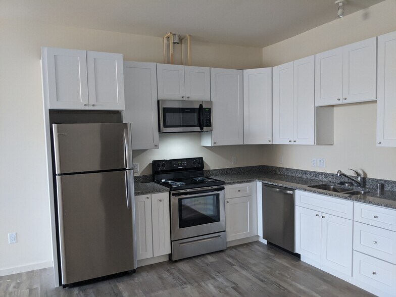 Newly installed kitchen - 557 Oppenheimer Dr