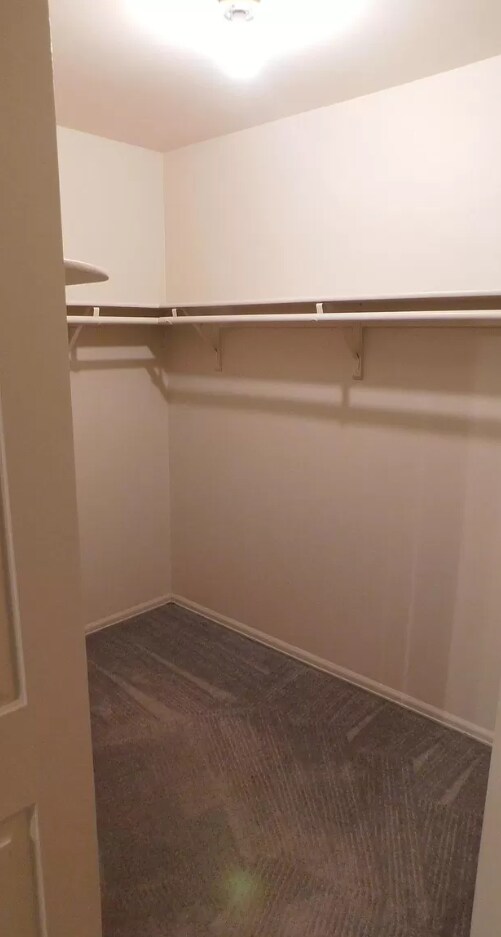 Building Photo - 1451 McArthur Ave