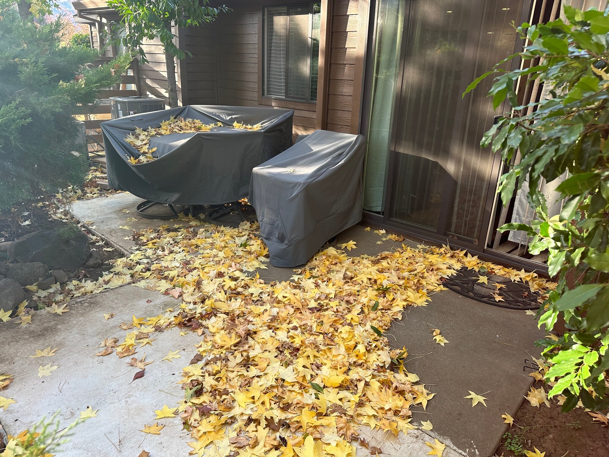 Back patio area - 2910 Pennyroyal Dr