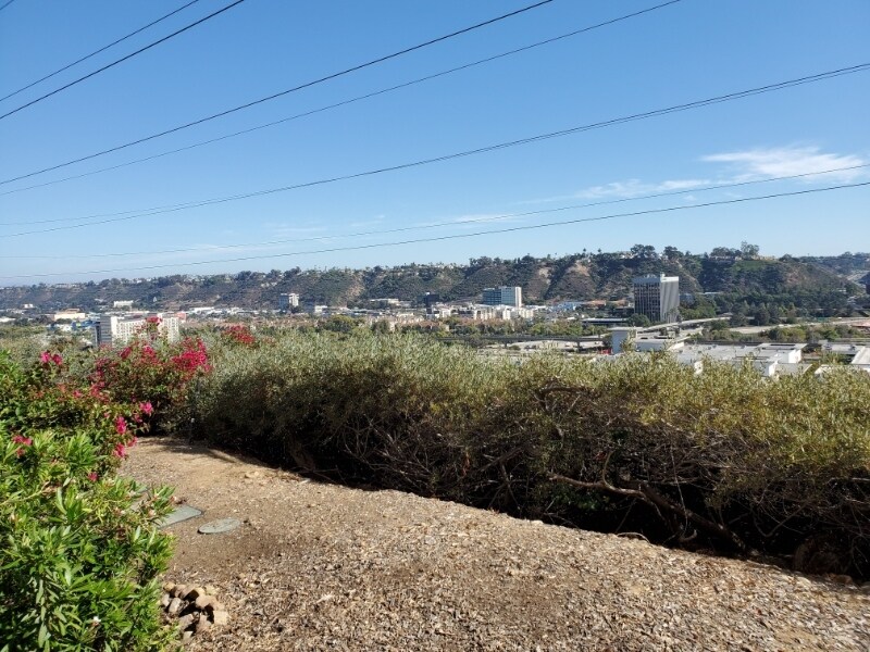Building Photo - 7047 Camino Degrazia