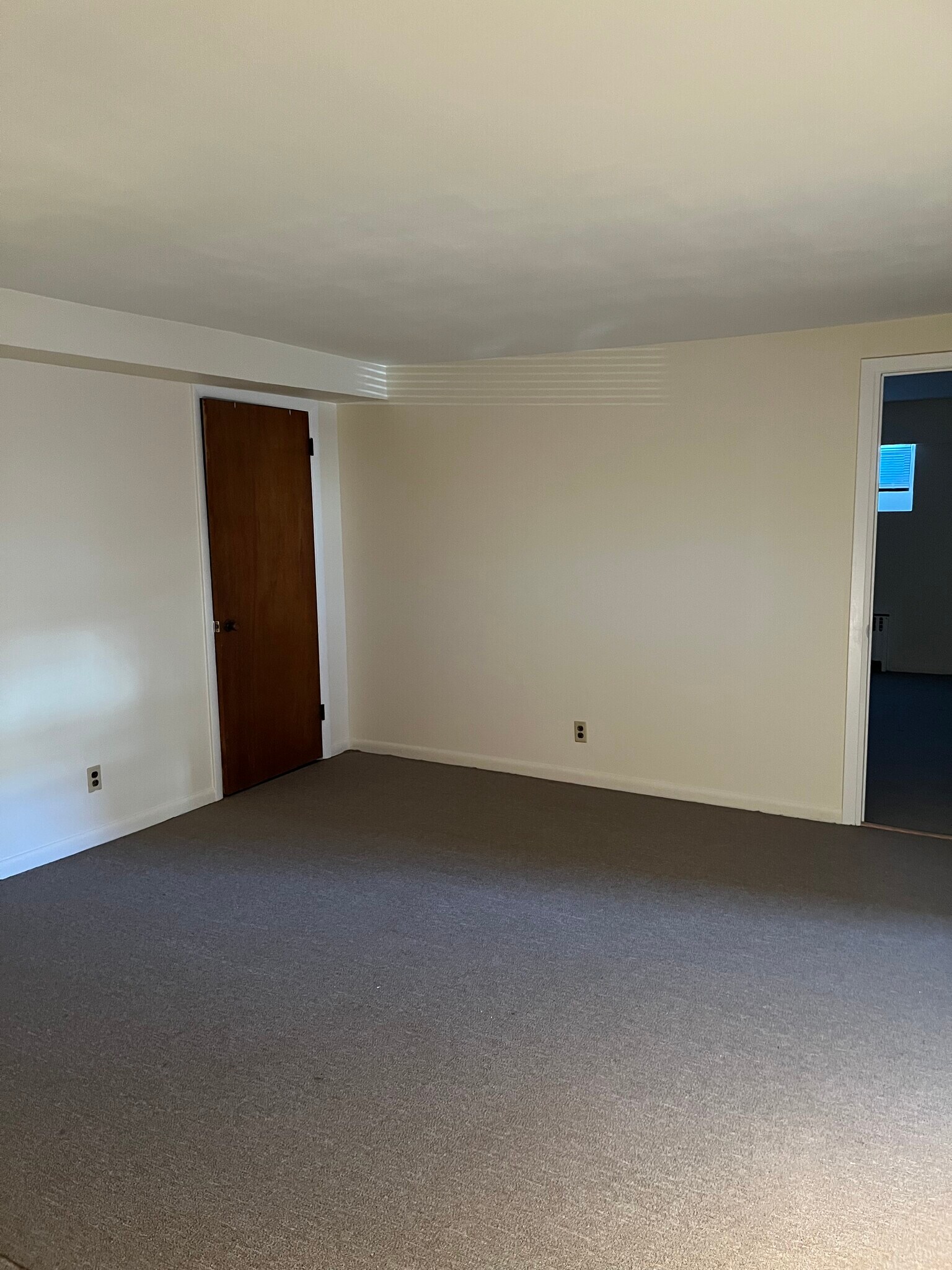 Living room - 313 Rich Ave