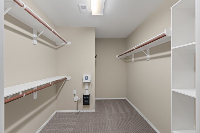 Building Photo - 2811 Cone Flower Dr