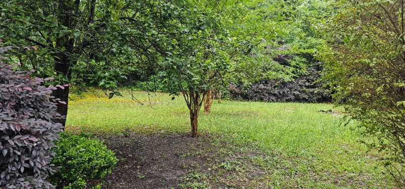 Building Photo - 1335 Victory St