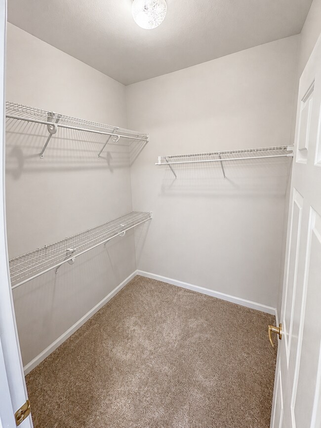 Building Photo - 2842 Freedom Hills Dr