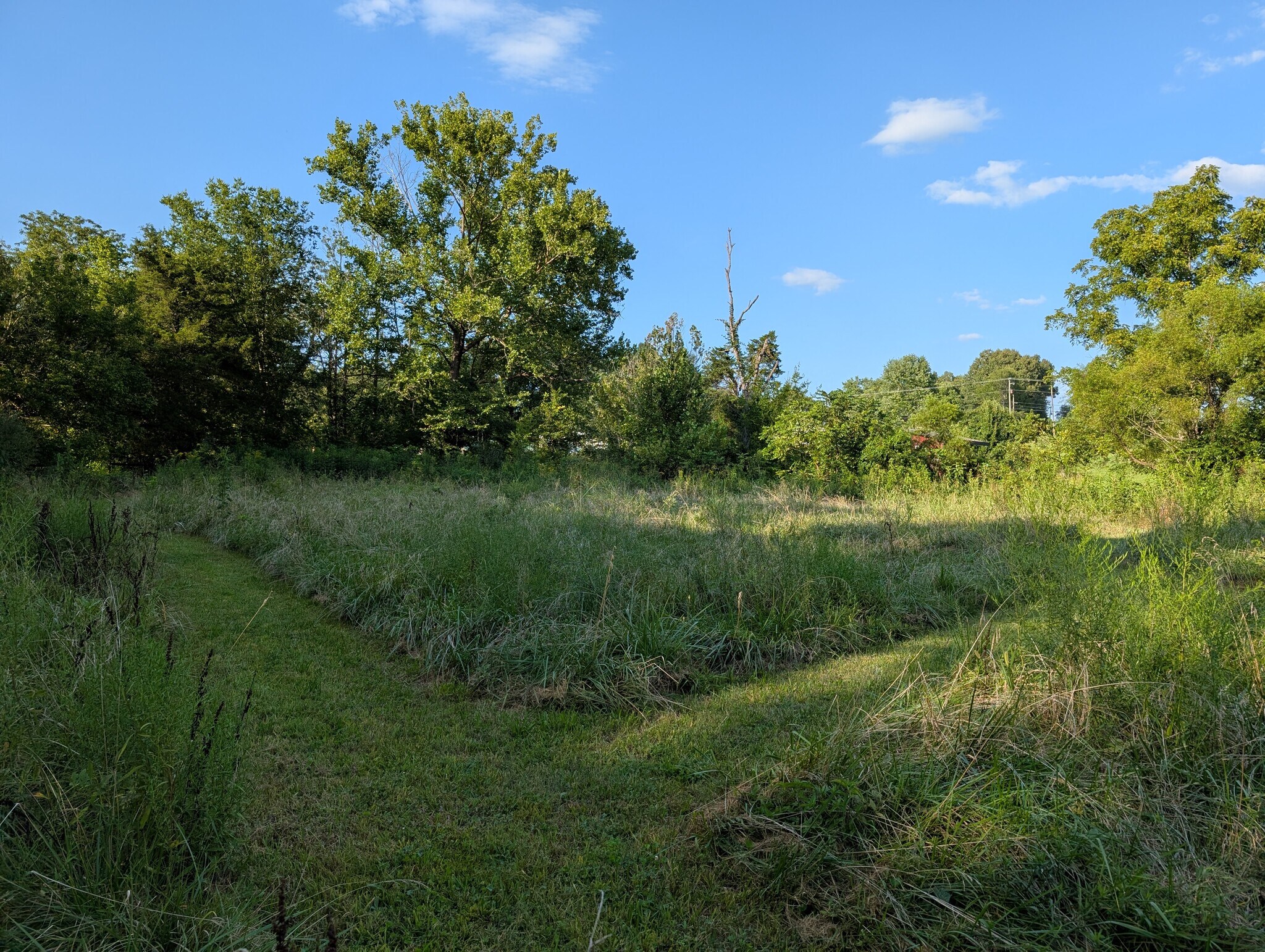 Walking paths through meadow at back of property - 7713 Martin Mill Pike