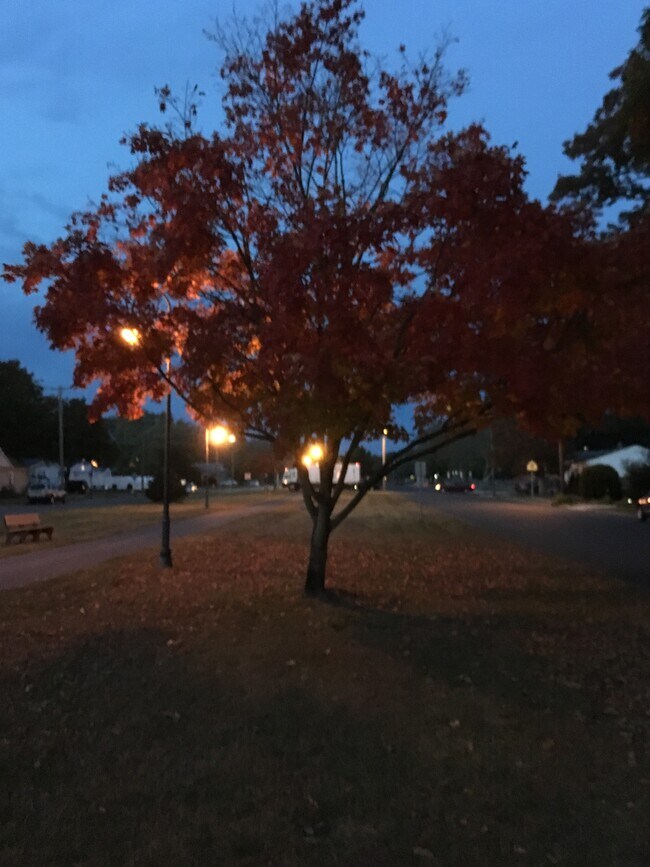 252 Atlantic Ave 252 Atlantic Ave Somers Point NJ 08244 Apartment