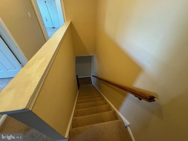 Building Photo - 503 Steeplechase Ct