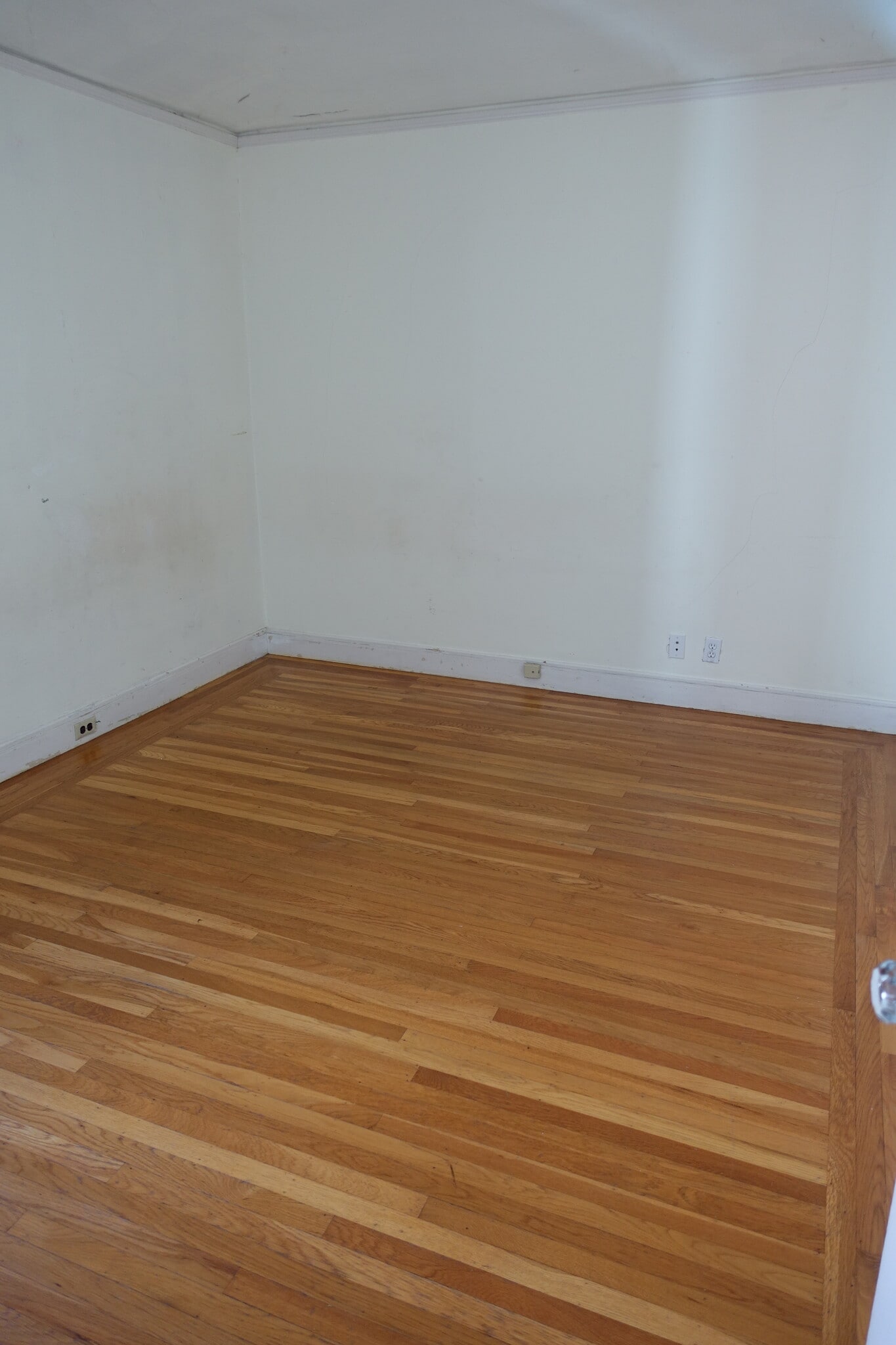 Building Photo - 2573 Virginia St