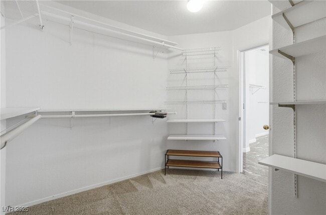 Building Photo - 2001 Madagascar Ln