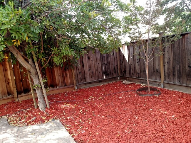 Building Photo - Beautiful Updated 4BD/3BA Two Story Home -...