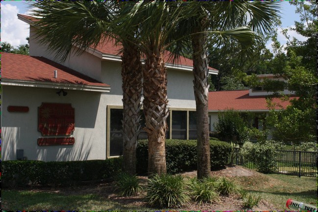 Primary Photo - Palm Villas