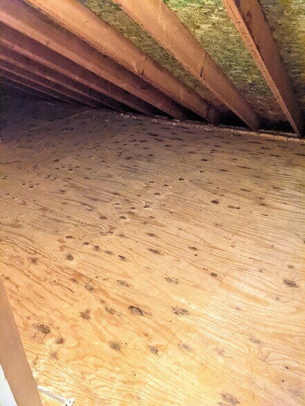 Eaves area for additional storage - 3221 Hunters Point Dr