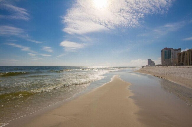 Building Photo - 24400 Perdido Beach Blvd