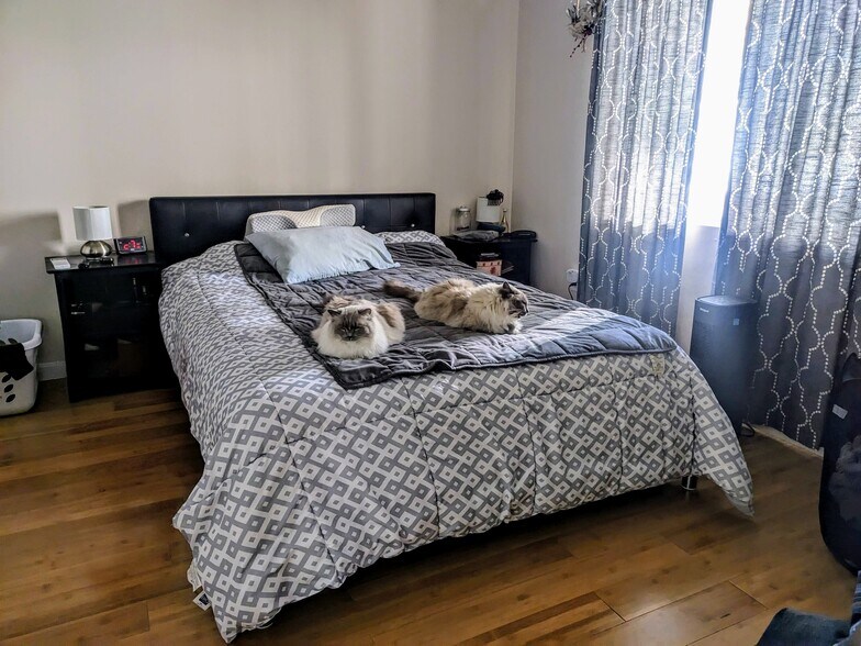 Building Photo - 63 Fenno St