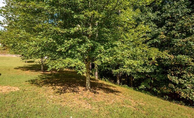 Building Photo - 4166 Round Stone Dr