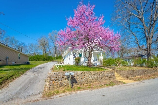 Building Photo - 420 Hedgewood Dr