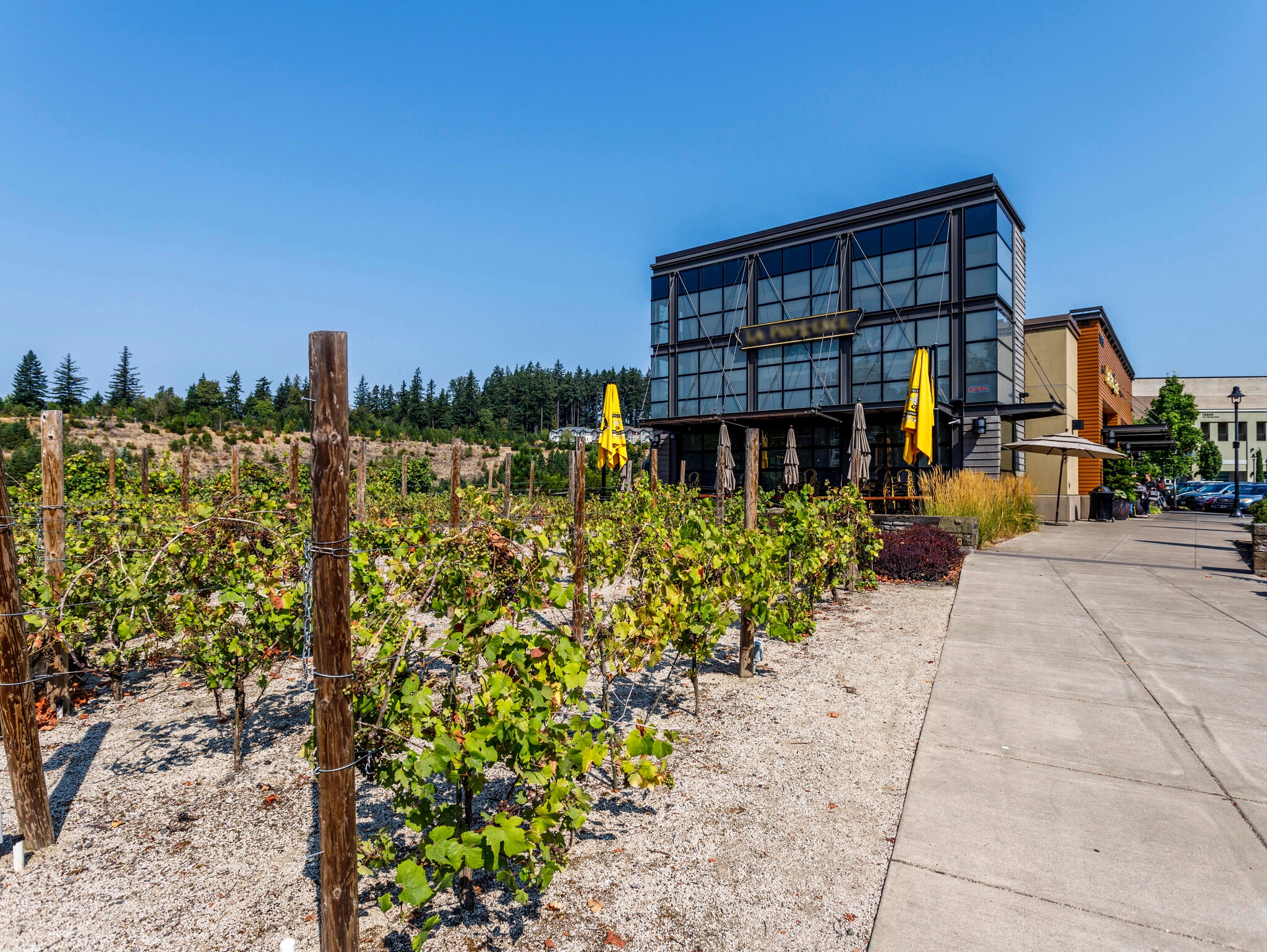 La Provence Restaurant - 15186 SW Canyon Wren Way