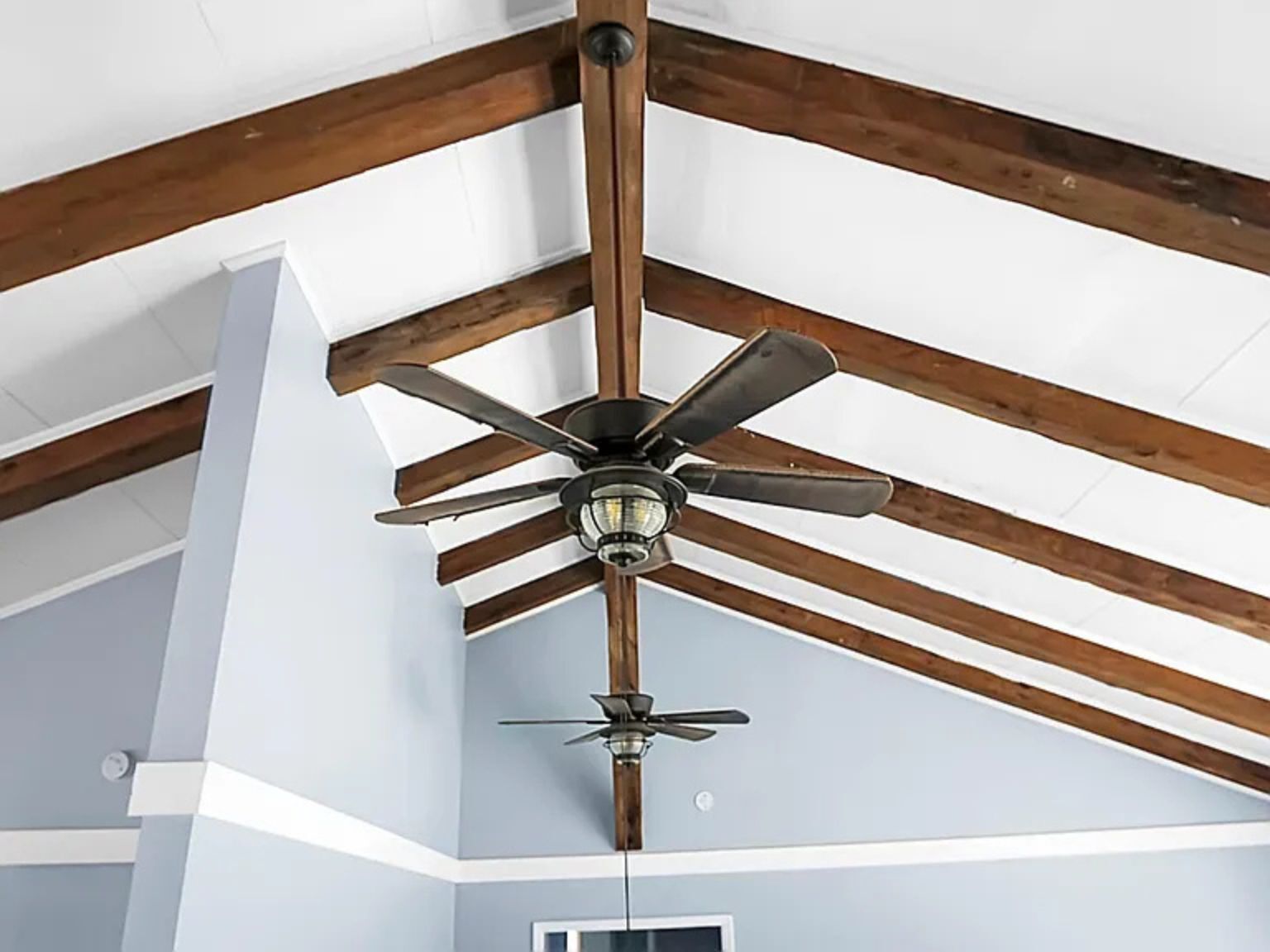 Building Photo - 407 Hayne St