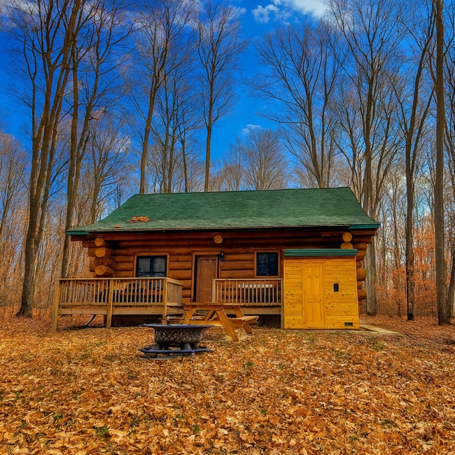 Building Photo - Furnished Log Cabin Extended Stay Summer Rental