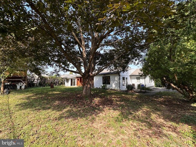 Building Photo - 1765 4th St