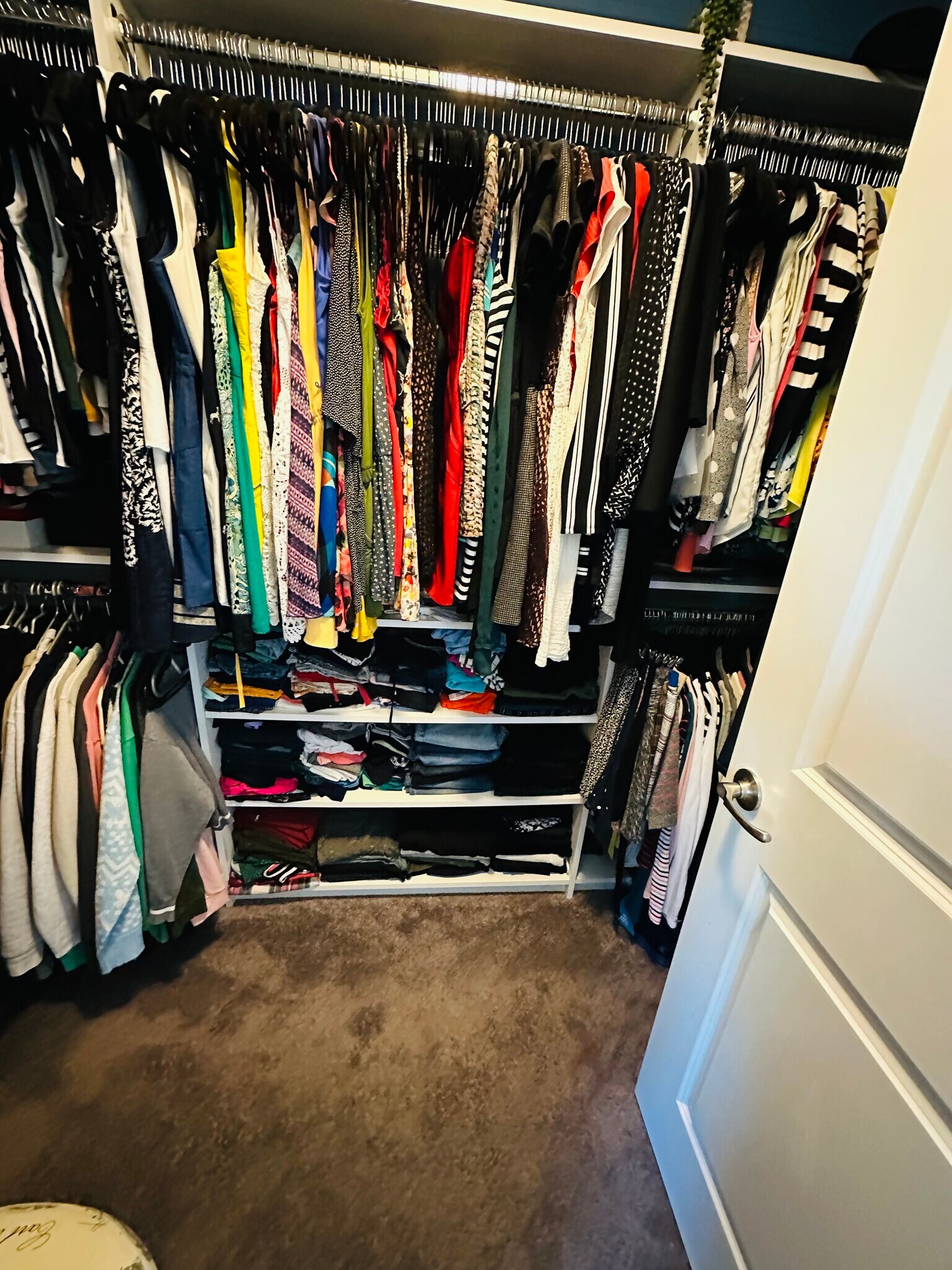 Building Photo - 226 Willow Point Cir