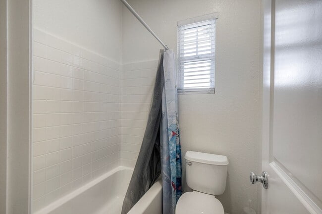 Building Photo - Charming Lake Rancho Viejo Home – Beautiful, Peaceful & Conveniently Located!