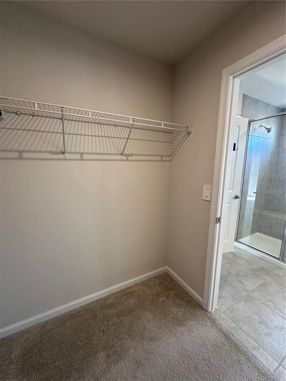 Building Photo - 3785 Blue Mountain Wy