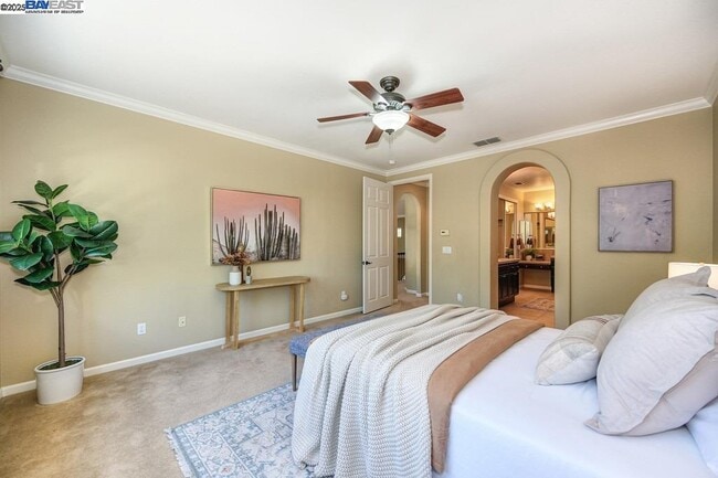 Building Photo - 1207 Villagio Dr