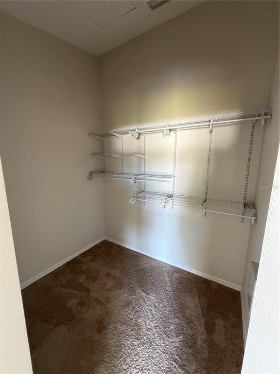 Building Photo - 1532 Blue Magnolia Rd