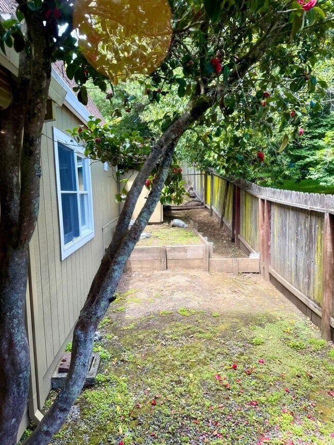 Building Photo - 534 Northern Ave