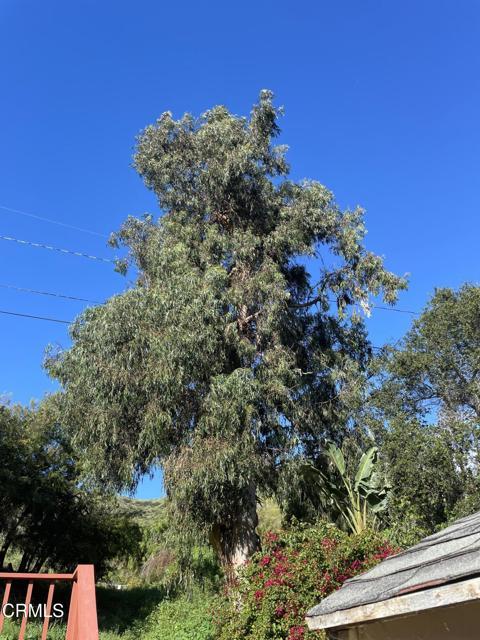 Building Photo - 2371 Foster Ave