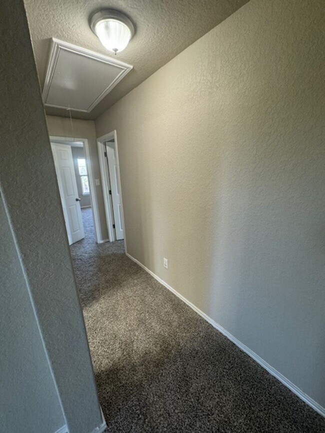 Building Photo - Must See Newly Updated 5/3.5 Home in Alamo...