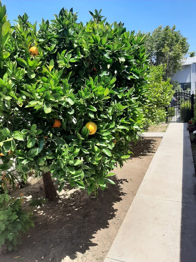 Building Photo - 1428 26th St