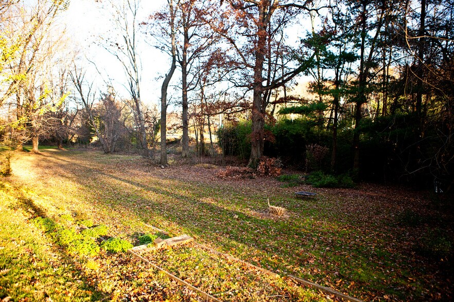 backyard - 6811 Lemon Rd