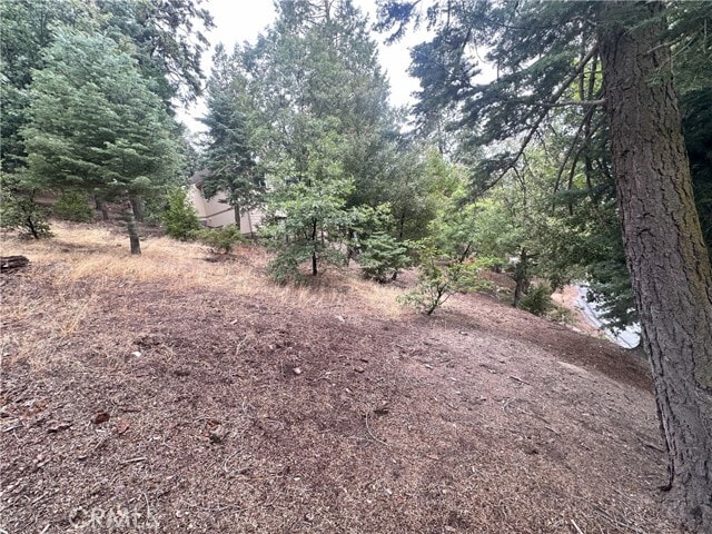 Building Photo - 25619 Lo Ln