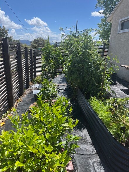 Building Photo - 831 Cambridge Dr