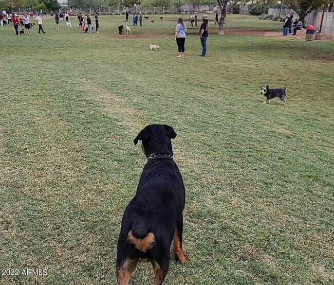 Building Photo - 7950 E Starlight Way