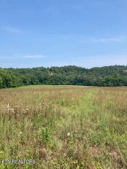 Building Photo - 559 Snowflower Cir