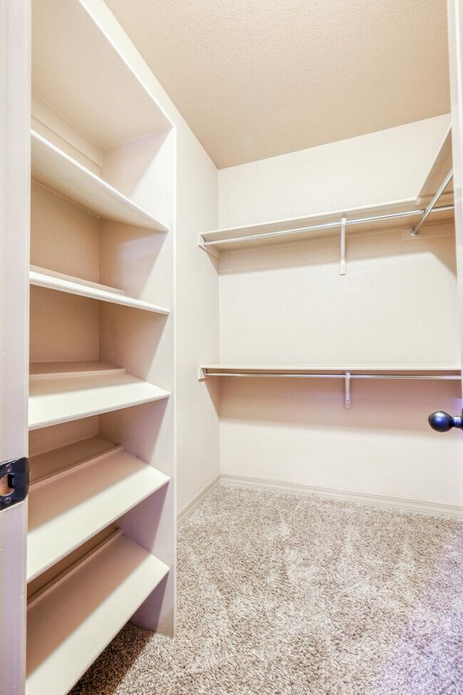 Building Photo - Beautiful 3 bed-2 baths home in 79911