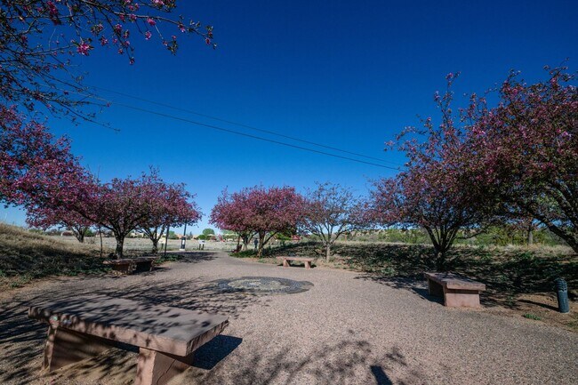 Building Photo - Absolute Gem in Pueblo Alegre (Camino De Chelly)