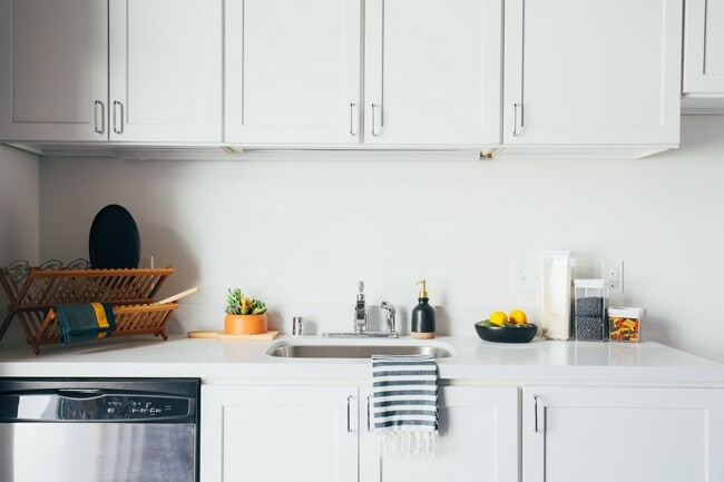 Floorplan - The Rose on Bond