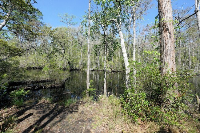 Building Photo - Central Freeport Location with Community Pool