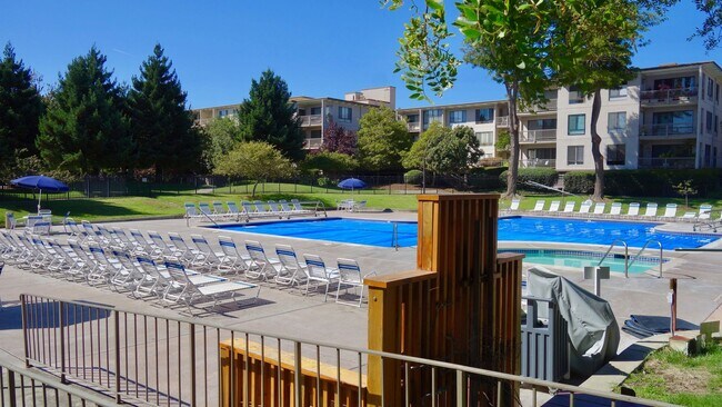 Building Photo - Breathtaking Views of SF & Bay Bridge from this Top Floor unit